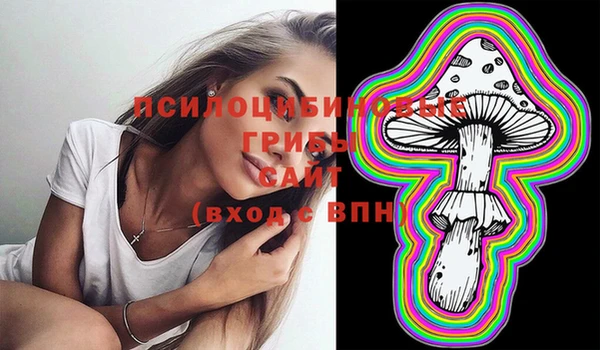гашик Алзамай